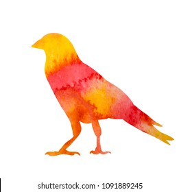vector, icon, white background, watercolor silhouette bird, crow
