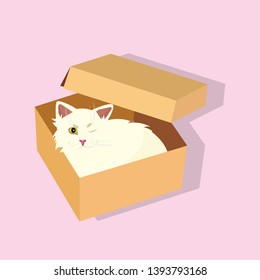 vector icon white cat in a box