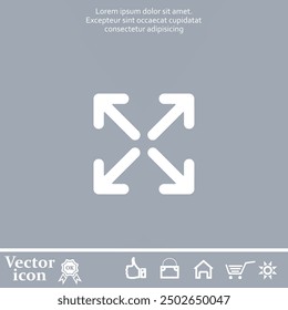 Vector icon of white color on a gray background