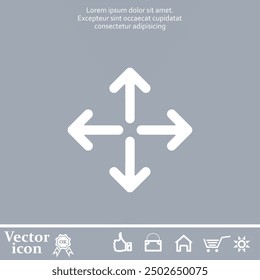 Vector icon of white color on a gray background