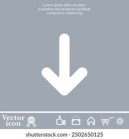 Vector icon of white color on a gray background
