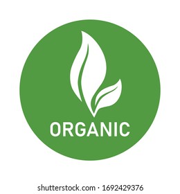 Vector icon white eco leaf isolated on white background.  Design Logo template.