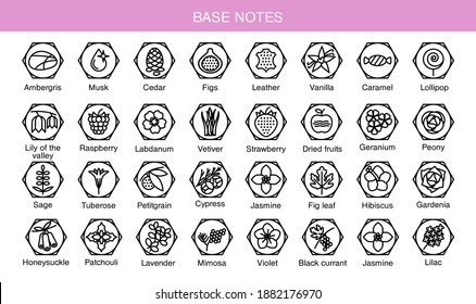 Vector Icons Aromas Base Notes. Base Notes Pyramid Chart With Examples Of Popular Aroma Essences. Scent Categories Are Oriental, Woody, Fresh And Floral. Trend  Examples Of Scents.