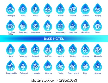 Vector Icons Aromas Base Notes. Base Notes Pyramid Chart With Examples Of Popular Aroma Essences. Scent Categories Are Oriental, Woody, Fresh And Floral. Trend  Examples Of Scents.