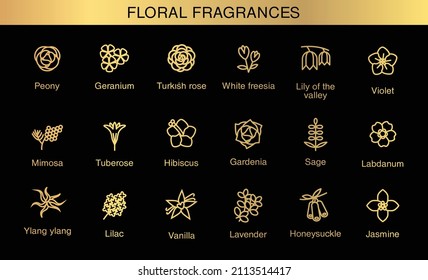 Vector icons aromas floral notes. Floral fragrances with examples of popular essences. Trend  examples of scents. Floral icons.