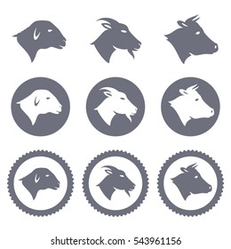 Vector Icons And Badges Of Lamb Goat And Cow