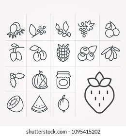 Vector icons with berries