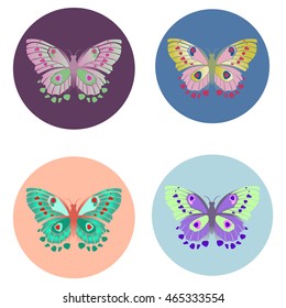 vector icons. butterflies 