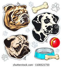 Vector icons colored dog, bulldog, pug, Dalmatian and a bowl of bone