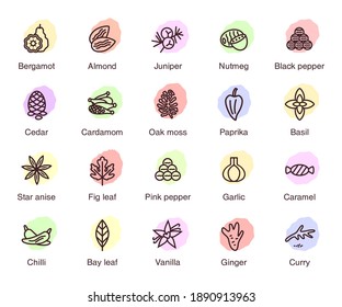 Vector icons of condiments and spices. Flat style with spots of pastel shades.