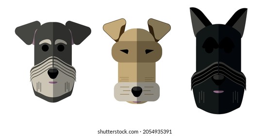 Vector icons of dogs. Miniature Schnauzer, Foxterrier and Scottish terrier in flat style. Suitable for decoration of different textiles, books, notebooks, banners, various products for dog fans.