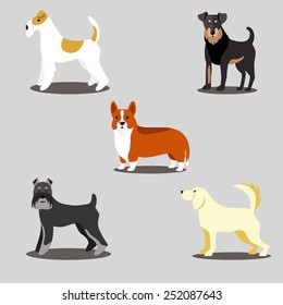 vector icons dogs set isolated on a gray background