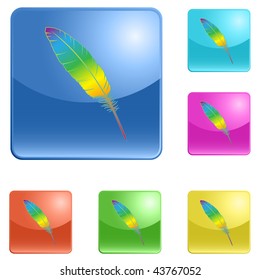 vector icons of feather