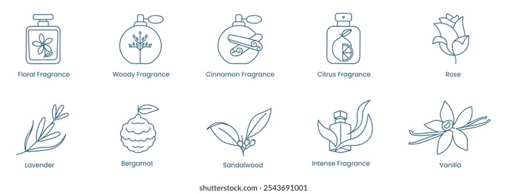 Vector Icons Featuring Floral, Woody, Cinnamon, Citrus, Rose, Lavender, Bergamot, Sandalwood, Intense, and Vanilla Fragrances