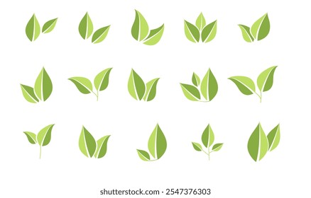 Vector icons of green leaves. Eco leaf logo. Simple linear leaves of trees and plants. Elements for eco-friendly and biological logo, vegan. A collection of leaves in two shades of green. Eco leaf ele