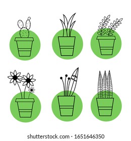 Vector icons of home plants. Set of decorative plants.