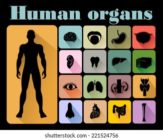 Vector icons of internal human organs Flat design