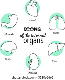 Vector icons internal organs: heart, liver, brain, lungs, kidneys and stomach . Suitable for infographics and catalogs