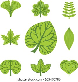 vector icons of leaves