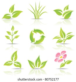 Vector icons of leaves and a flower