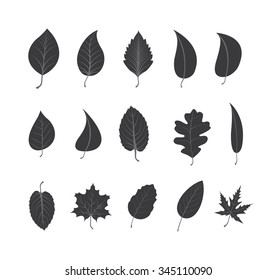 Vector Icons - Leaves - Illustration