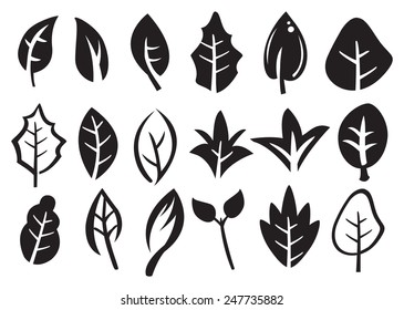Vector icons of leaves in variety of shape designs isolated on white.