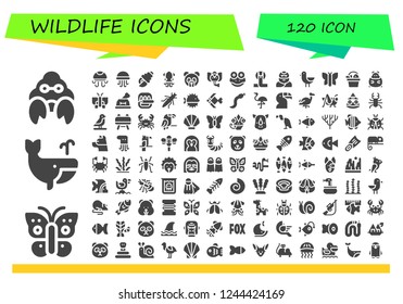 Vector icons pack of 120 filled wildlife icons. Simple modern icons about  - Hermit crab, Butterfly, Whale, Jellyfish, Seashell, Squid, Panda bear, Elephant, Frog, Cobra, Troglodyte, Bird