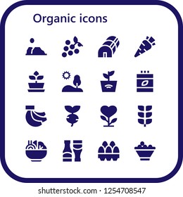 Vector icons pack of 16 filled organic icons. Simple modern icons about  - Desert, Grapes, Greenhouse, Carrot, Plant, Hill, Vitamins, Bananas, Turnip, Growing plant, Salad, Sauces