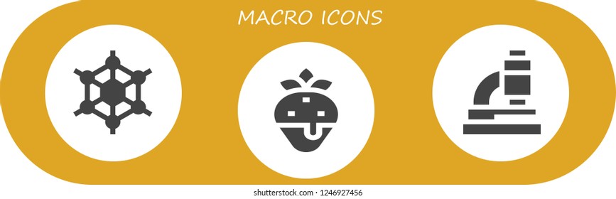 Vector icons pack of 3 filled macro icons. Simple modern icons about  - Graphene, Strawberry, Microscope