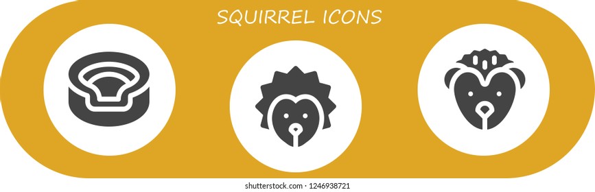 Vector icons pack of 3 filled squirrel icons. Simple modern icons about  - Animal, Hedgehog