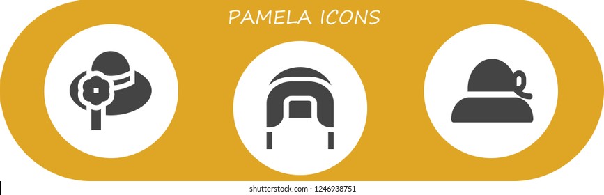Vector icons pack of 3 filled pamela icons. Simple modern icons about  - Pamela, Coif