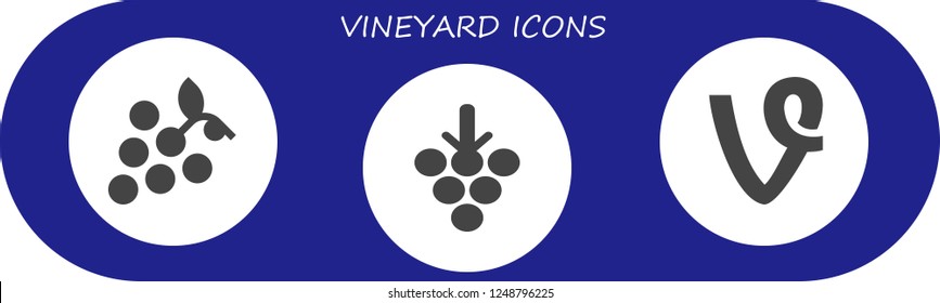 Vector icons pack of 3 filled vineyard icons. Simple modern icons about  - Grapes, Vine