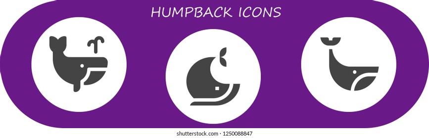 Vector icons pack of 3 filled humpback icons. Simple modern icons about  - Whale