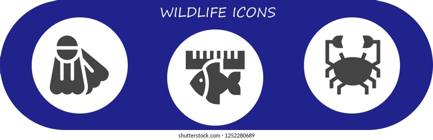 Vector icons pack of 3 filled wildlife icons. Simple modern icons about  - Fins, Fish, Crab