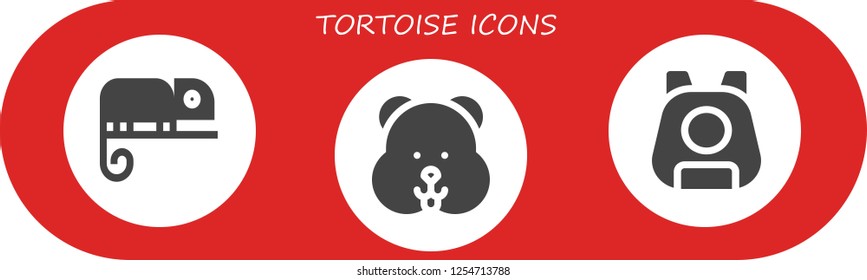 Vector icons pack of 3 filled tortoise icons. Simple modern icons about  - Chameleon, Hamster, Pet