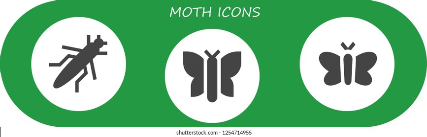 Vector icons pack of 3 filled moth icons. Simple modern icons about  - Grasshopper, Butterfly, Moth
