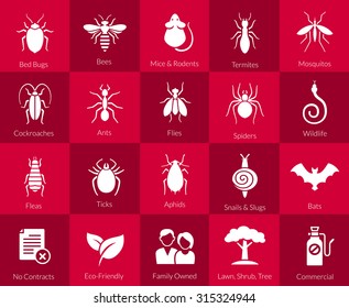 Vector icons of pest insects like flies, cockroaches, bed bugs, spiders termites and animals like bats, mice and snakes for pest control companies