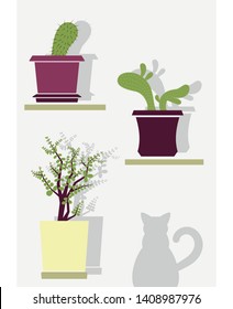 Vector icons of plants in pots on the wall with shadows and a cat