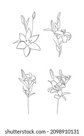 Vector icons set. Black outline lilies flowers on the white background.