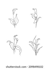 Vector icons set of the calla Lilies flowers. Black outline, white background. 