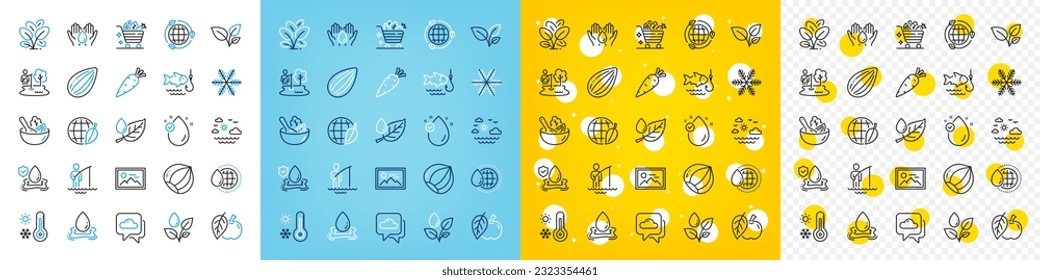 Vector icons set of Fisherman, Salad and Water splash line icons pack for web with Hazelnut, Apple, Travel sea outline icon. Vitamin e, Photo, Leaf dew pictogram. Almond nut, Fishing. Vector