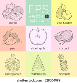 vector icons set. symbols for restaurants, cafeterias, caterers, snack bars, menus, ingredients of food. Outline contour line art  orange, pear, apple, coconut, pomegranate, watermelon, pineapple.