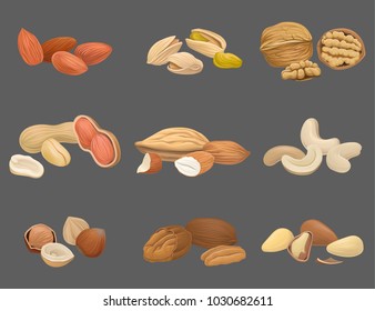 Vector icons set with various kinds of nuts walnut, pistachio, brazil, almond, peanut, cashew, hazelnut and pecan. Organic and healthy food. Tasty snack. Vegan food