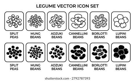 Vector icons showing split peas mung beans adzuki beans cannellini beans 