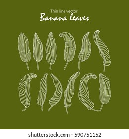 Vector icons tropical banana leaves.