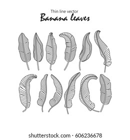 Vector icons tropical banana leaves.