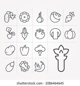 Vector icons with vegetables