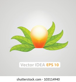 Vector idea