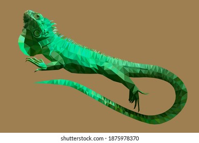 Vector Iguana In Low Poly Technique