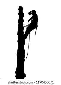 Vector iIllustration of the sillouette of a Tree Surgeon with a safety rope at the top of a tall tree.